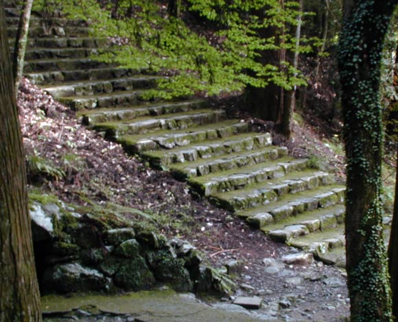 Steps in rustic temple forest