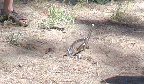 horseshoes_closeup_491w288.jpg