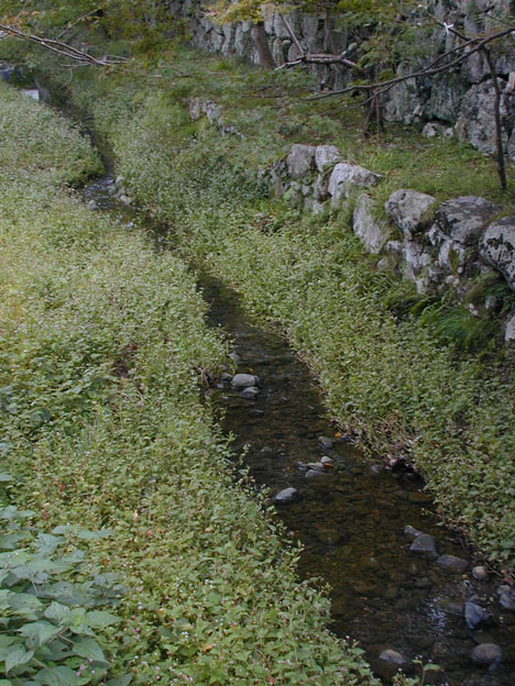 Good water near Taisha