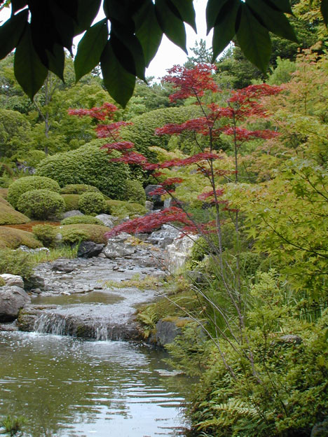 Taizo-in Brook