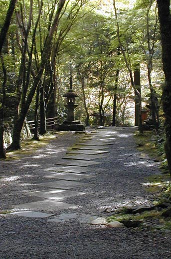 Squares of Takao