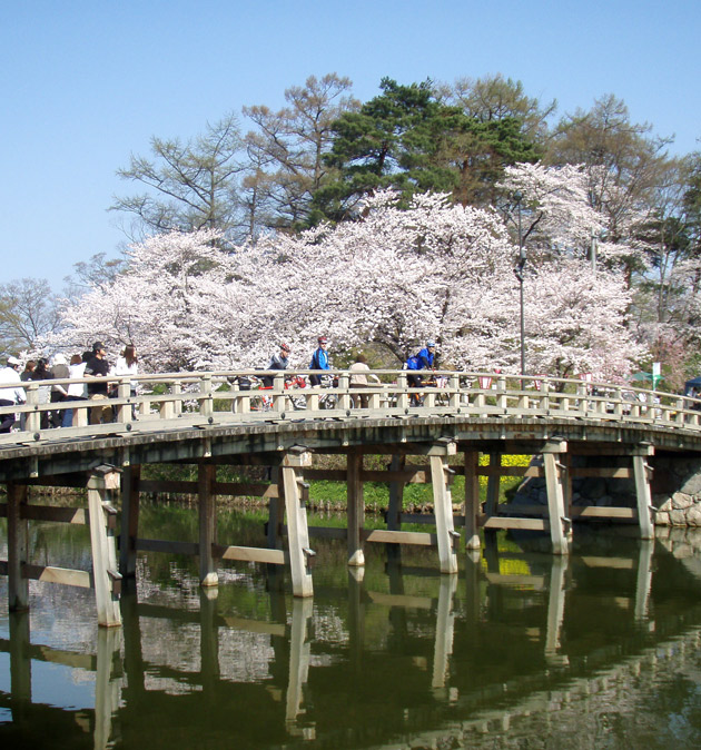 group_day1_takada_sakura.jpg