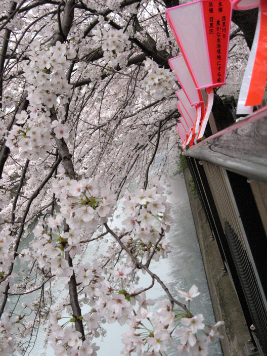 rail_river_lanterns_1.jpg