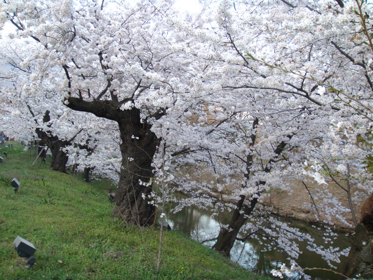 ueda_castle_moat.jpg