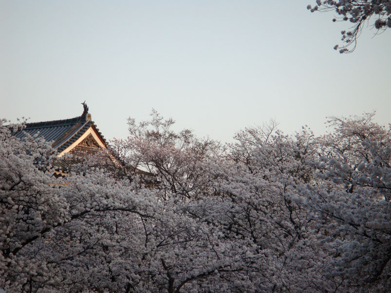 ueda_castle_sky.jpg