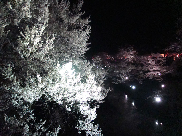 ueda_light_up.jpg